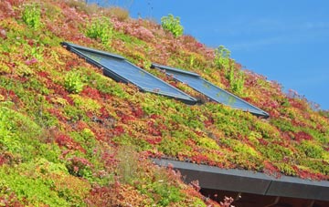 Upper Knockando living roof systems