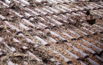 Upper Knockando roof cleaning companies