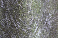 Upper Knockando fibreglass roof work